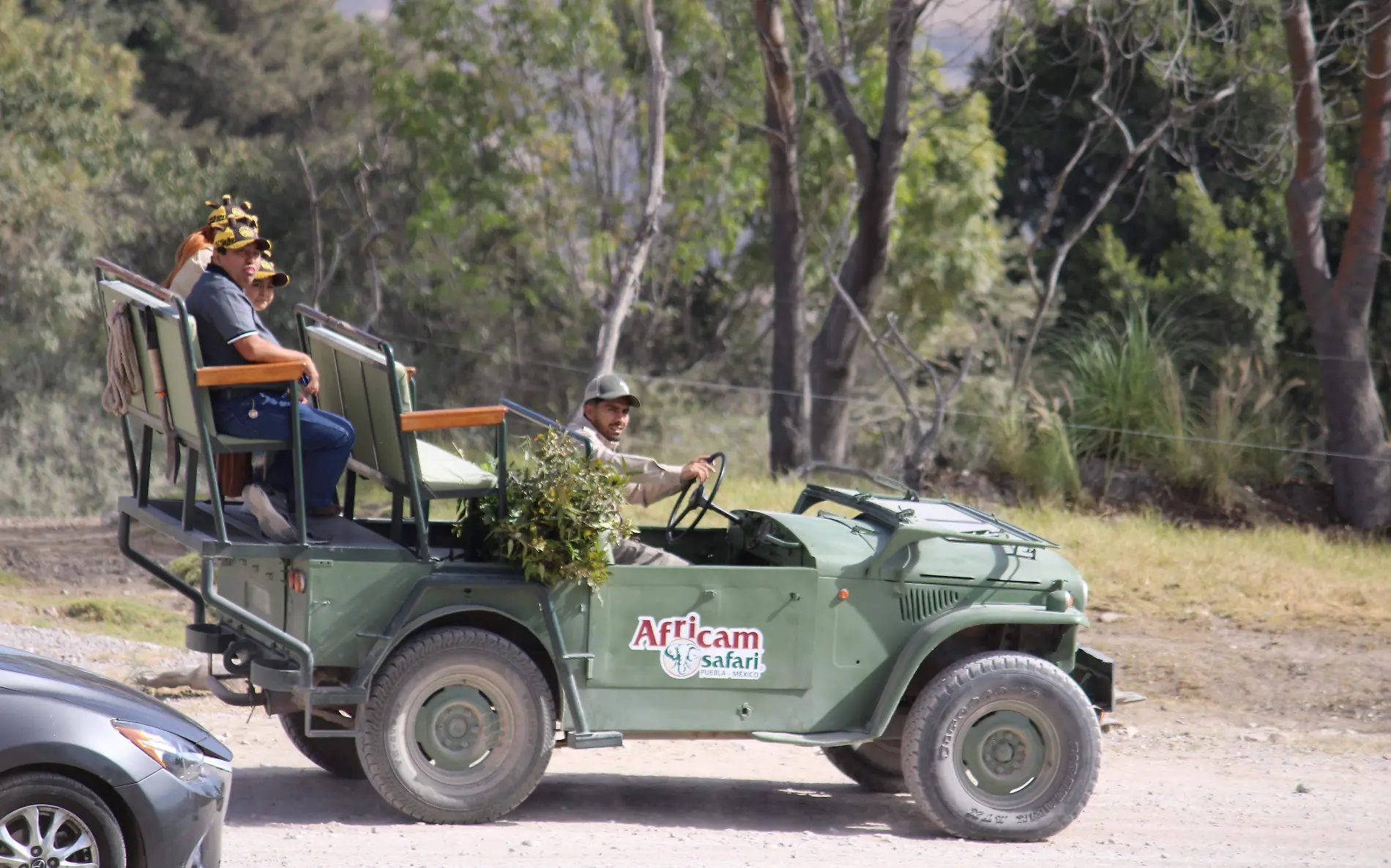 Africam safari, algo más que un lugar de visita9